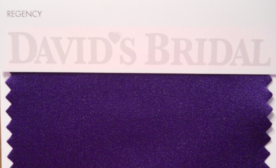 david's bridal regency purple